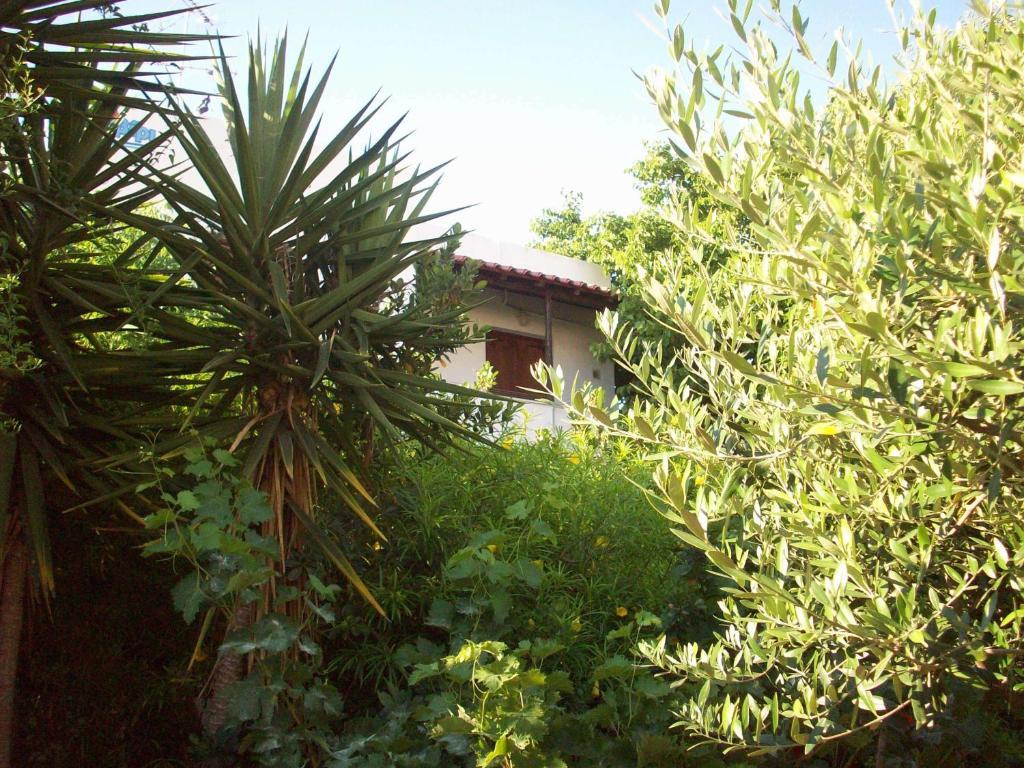 Appartement Caviri Galissas
