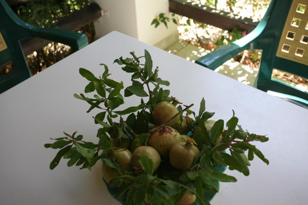 Caviri * Galissas