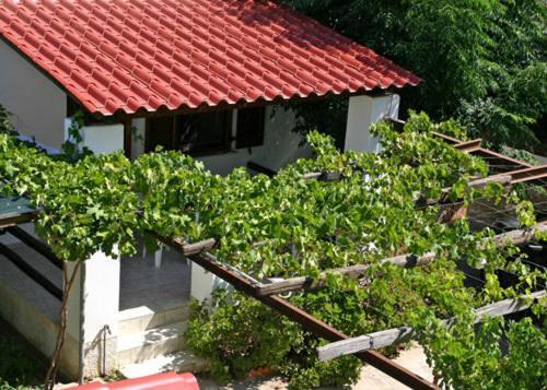 Caviri Galissas