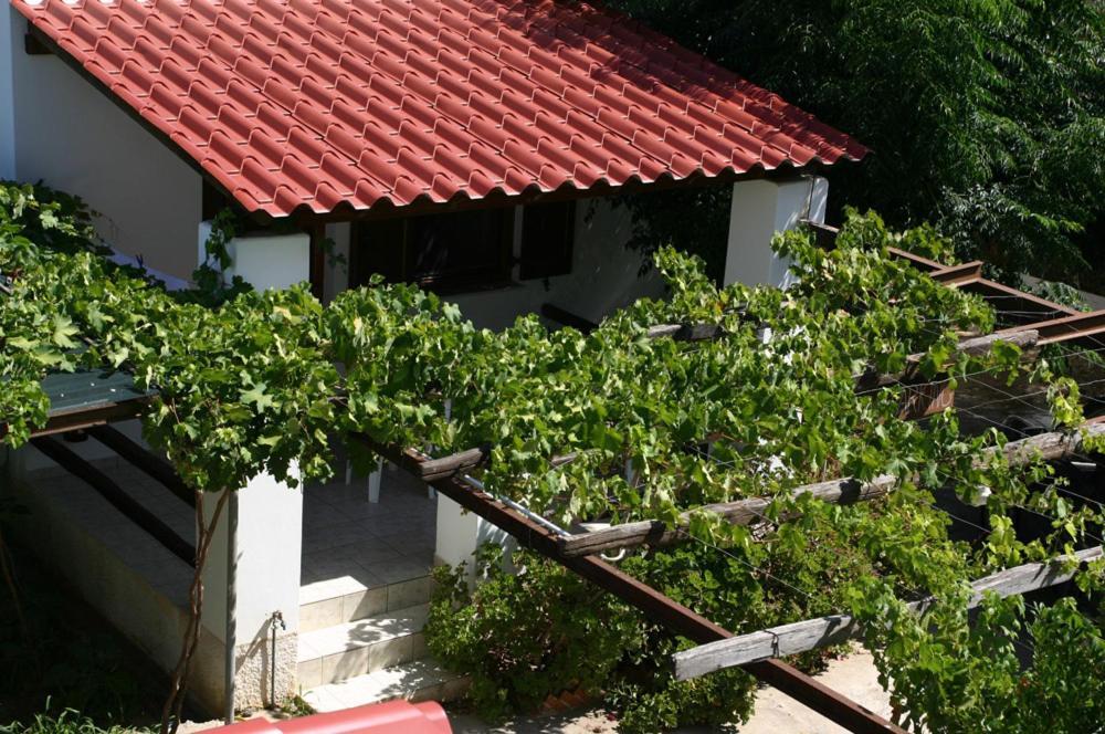 Apartment Caviri Galissas